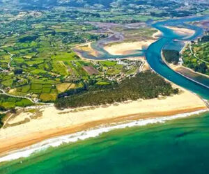 Foto de Viti en Oviedo