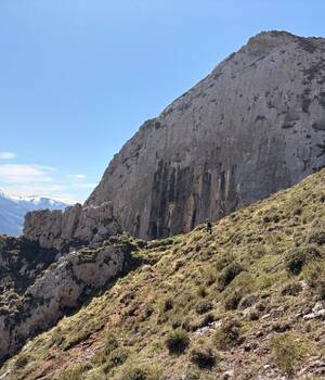 AZAHARA