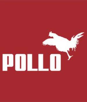 Pollo
