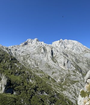 CM