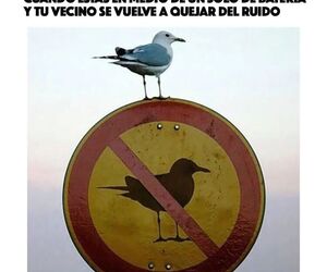 Alvaro