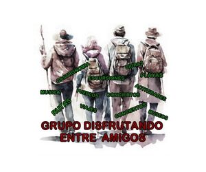 GRUPO DISFRUTA