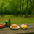 Quedada en la naturaleza / Picnic