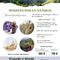 Evento CONECTA CON LO NATURAL en Llerandi 