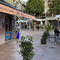 Tardeo por Oviedo 