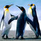 Practicar yoga al aire libre