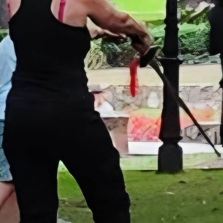 Foto de perfil de Covadonga