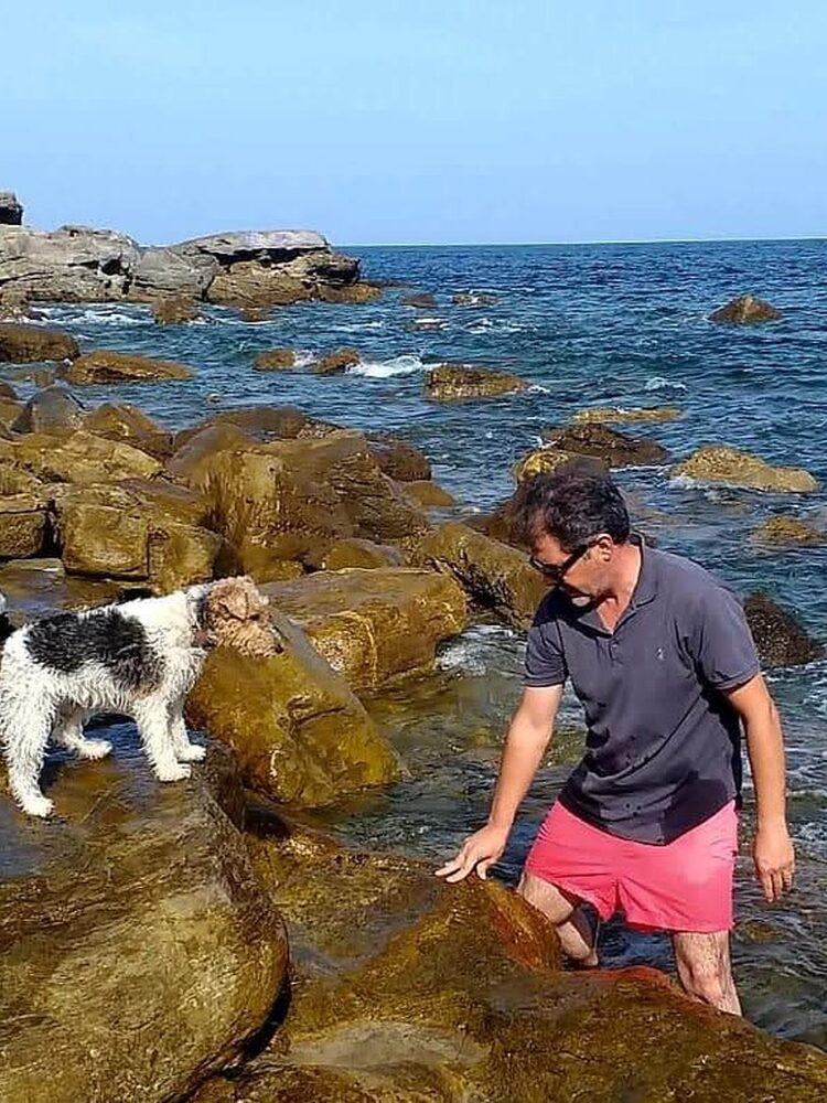 Foto de perfil de Alfonso