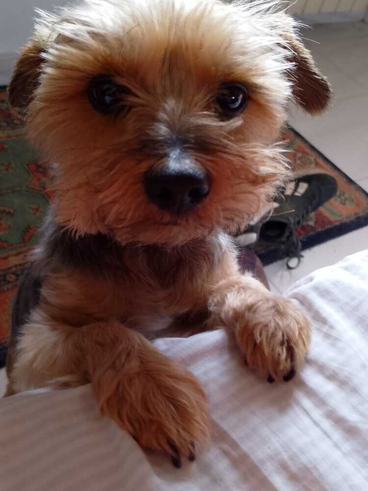 Foto de perfil de juan
