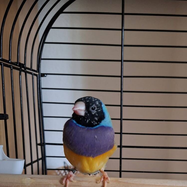 Foto de perfil de Raquel