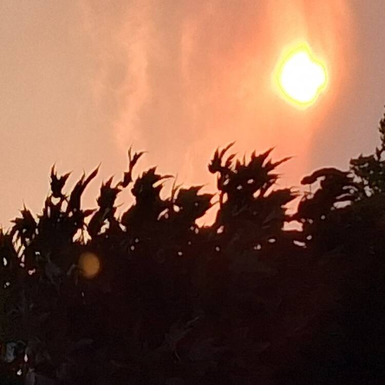 Foto de perfil de Mm