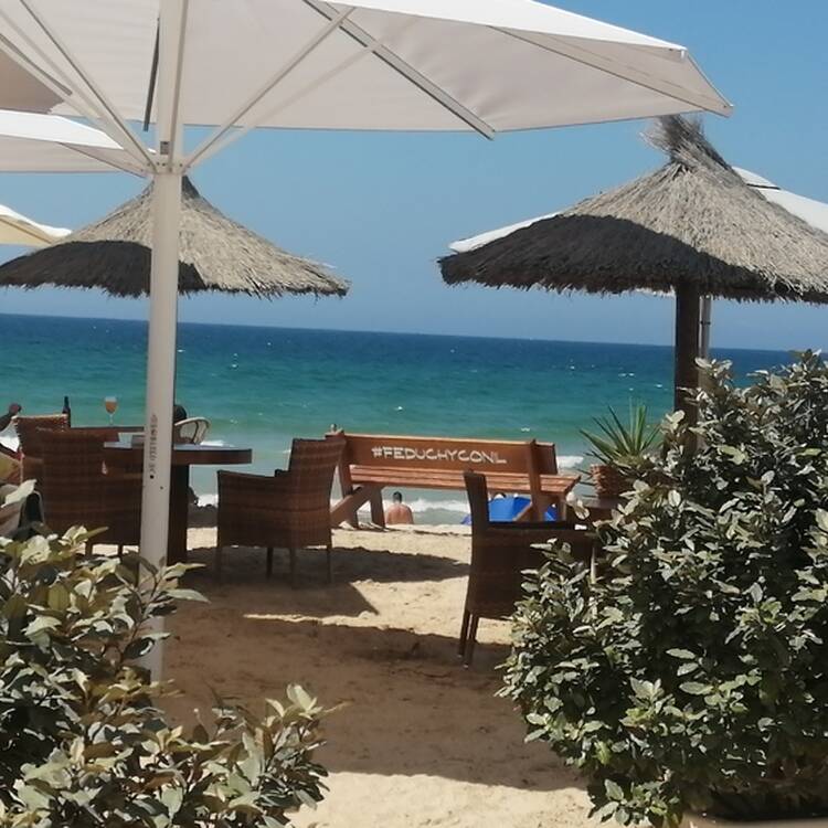 Foto de perfil de Yolanda