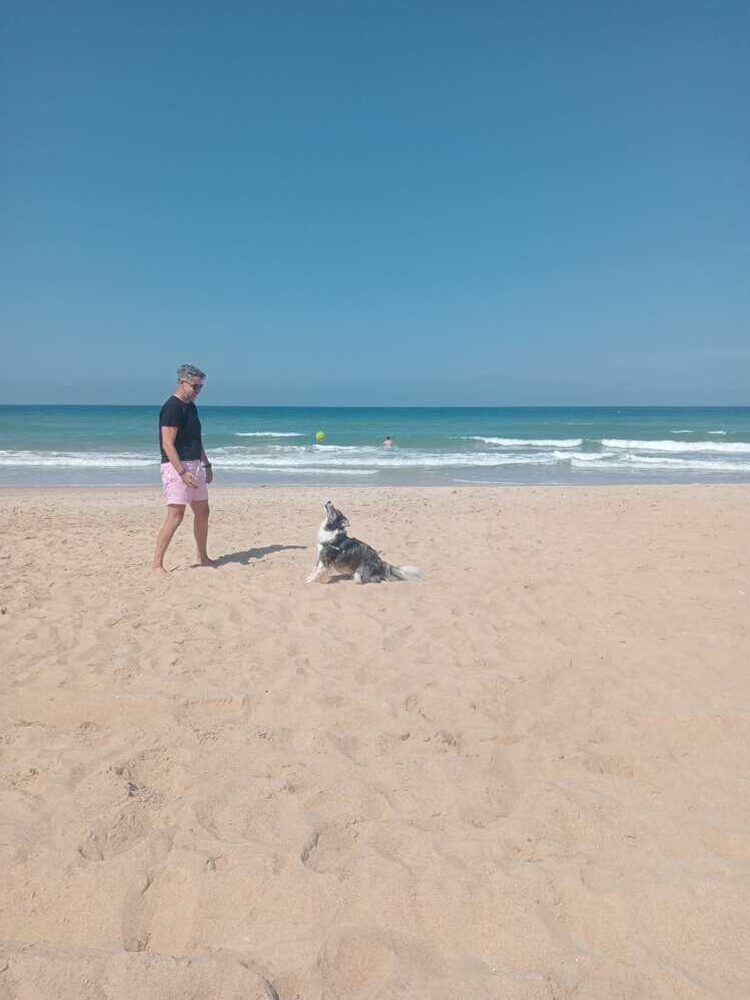Foto de perfil de José