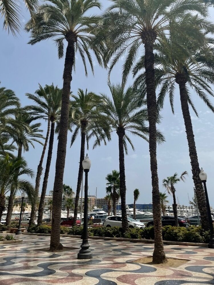 Foto de perfil de Mery