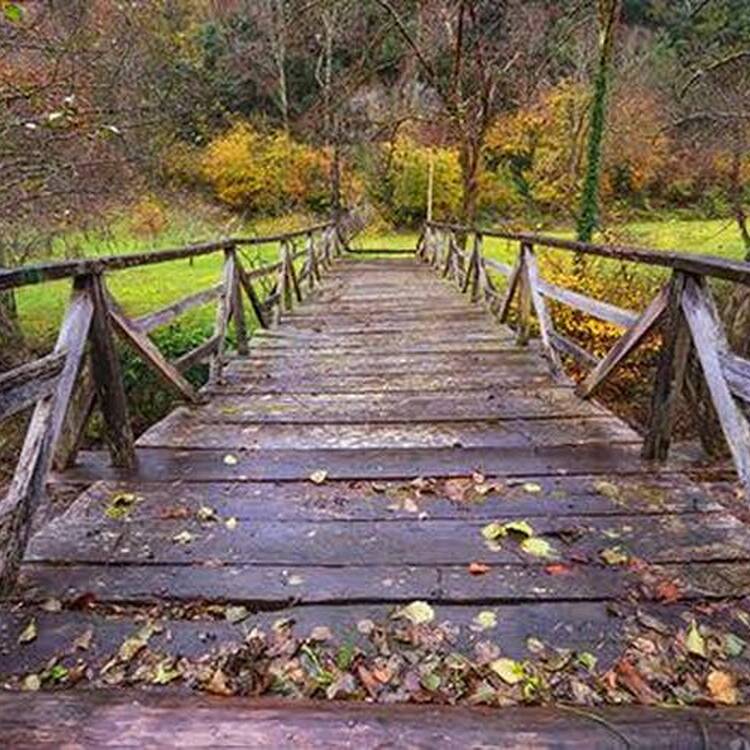 Foto de perfil de M