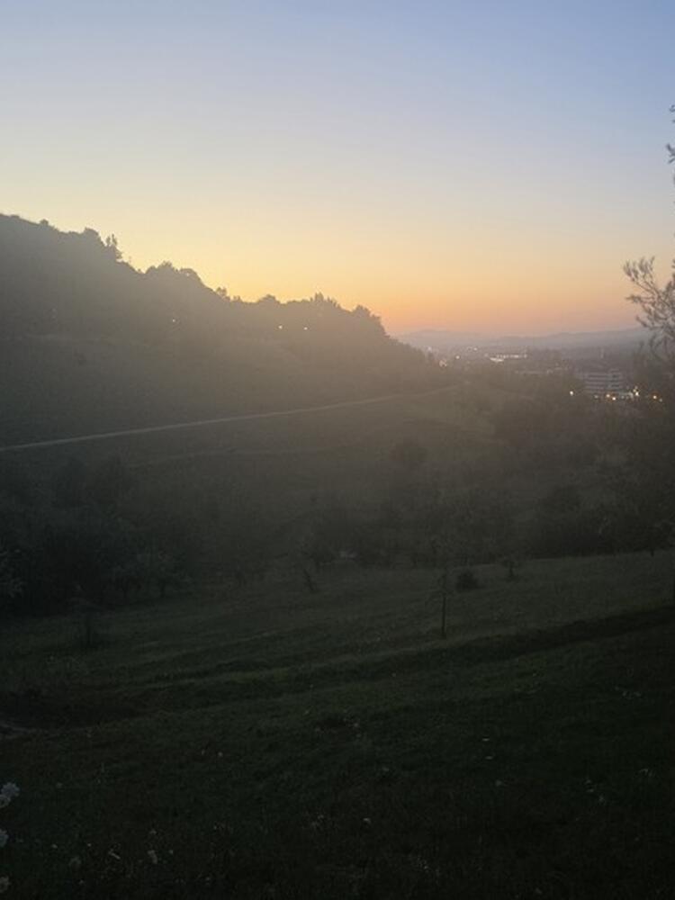 Foto de perfil de Maria