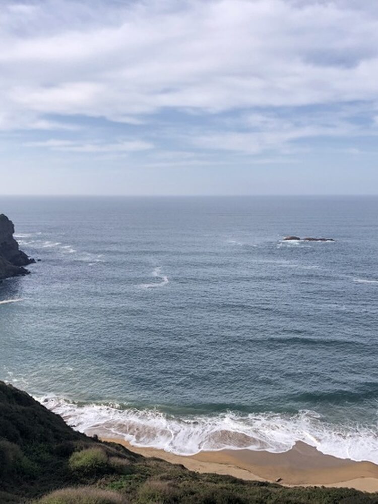 Foto de perfil de Marcos