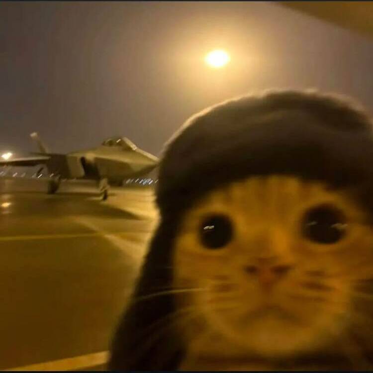 Foto de perfil de antonio