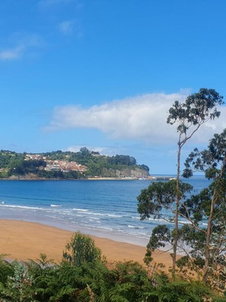 Foto de perfil de Mery